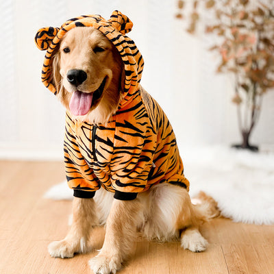 Tiger Pet Costume for Dogs – Golden Retriever Outfit