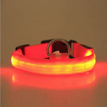 LED Light Up Pet Collar – Flashing Safety Collar for Dogs & Cats