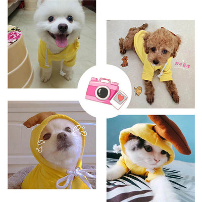 Soft Pet Hoodie