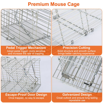 Humane Reusable Mouse Trap Cage – Safe Live Catch Rodent Trap