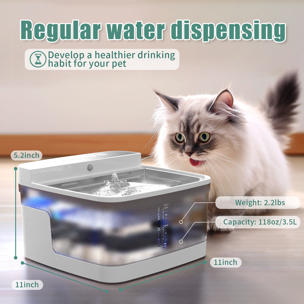 Best Pet Water Dispensers in 2025: Top Automatic and Gravity Fountains for Cats & Dogs