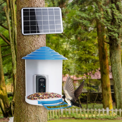 Smart Solar Bird Feeder with 1080P HD Camera – AI Bird Identification, PIR Motion Detection, Auto Video Capture, Cloud & SD Storage, WiFi App Control, IP65 Waterproof
