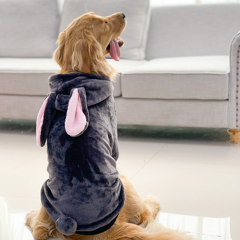 Tiger Pet Costume for Dogs – Golden Retriever Outfit