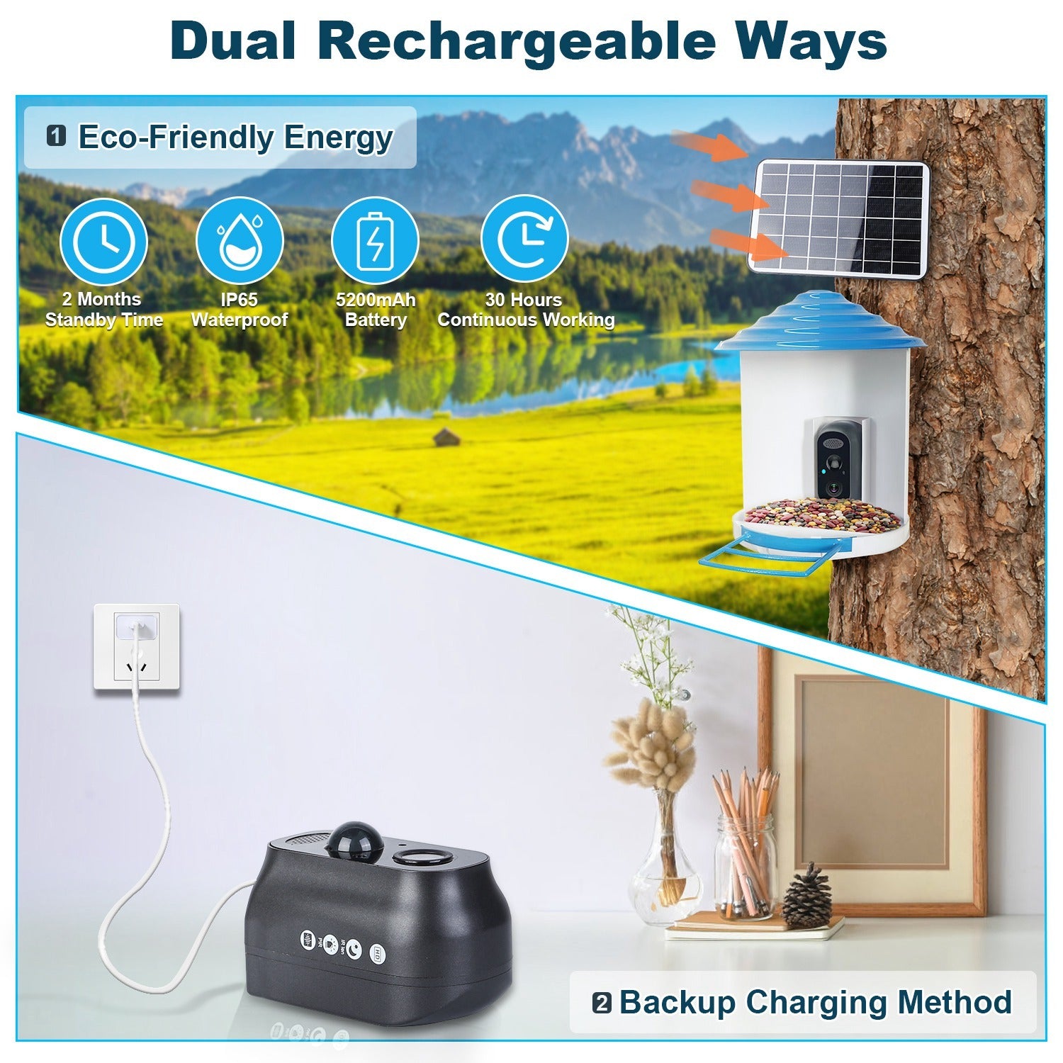 Smart Solar Bird Feeder with 1080P HD Camera – AI Bird Identification, PIR Motion Detection, Auto Video Capture, Cloud & SD Storage, WiFi App Control, IP65 Waterproof