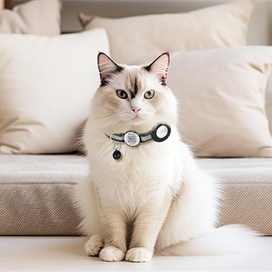 QR Code Pet Collar – Anti-Lost Tracking & Real-Time Positioning for Dogs & Cats