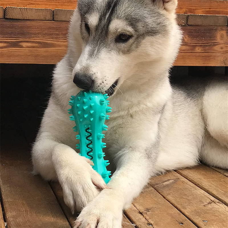 Durable Rubber Dog Chew Toy – Molar Stick for Aggressive Chewers | Oral Health & Teeth Cleaning