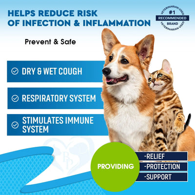 Natural Kennel Cough Treatment for Dogs & Cats
