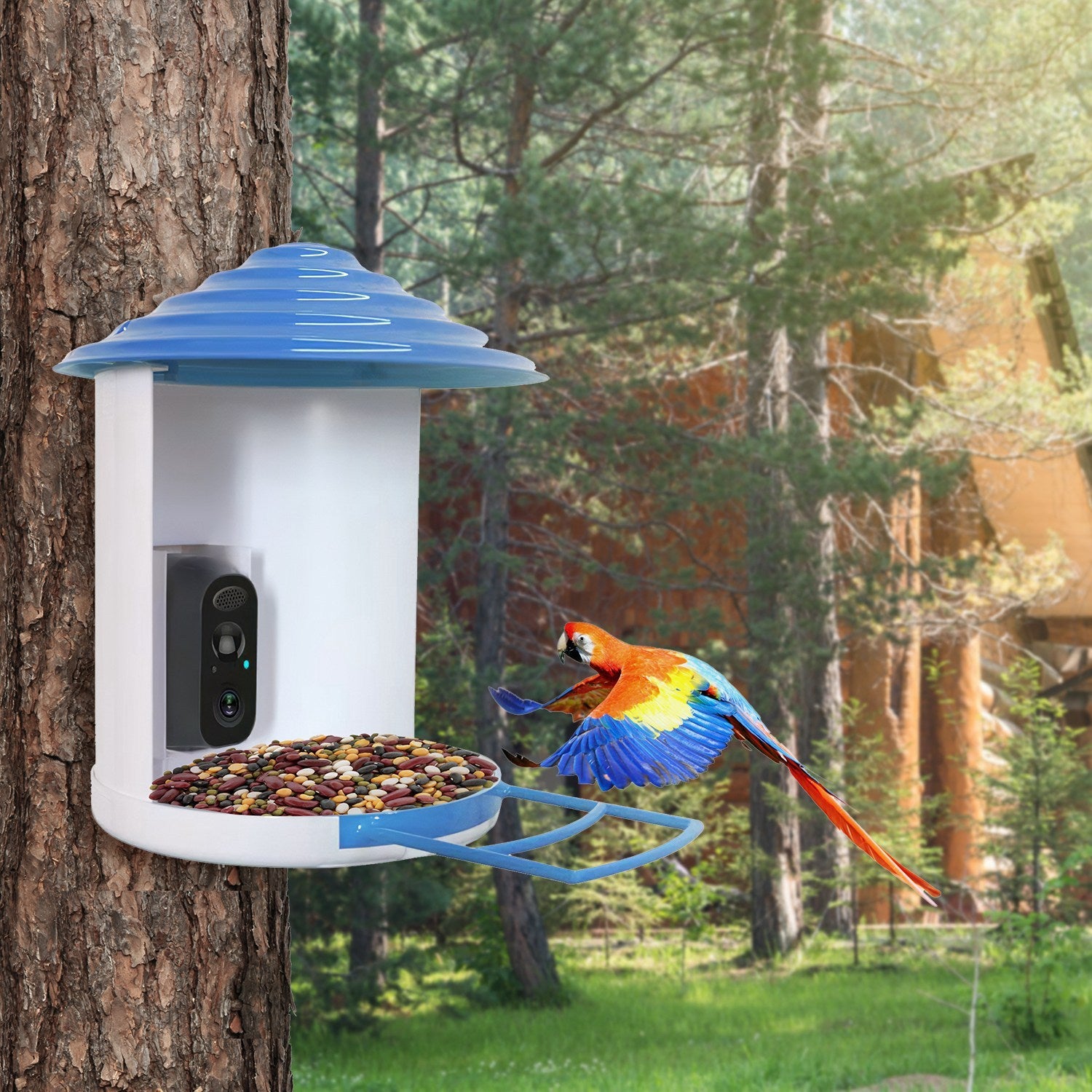 Smart Solar Bird Feeder with 1080P HD Camera – AI Bird Identification, PIR Motion Detection, Auto Video Capture, Cloud & SD Storage, WiFi App Control, IP65 Waterproof