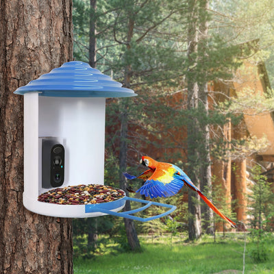 Smart Solar Bird Feeder with 1080P HD Camera – AI Bird Identification, PIR Motion Detection, Auto Video Capture, Cloud & SD Storage, WiFi App Control, IP65 Waterproof
