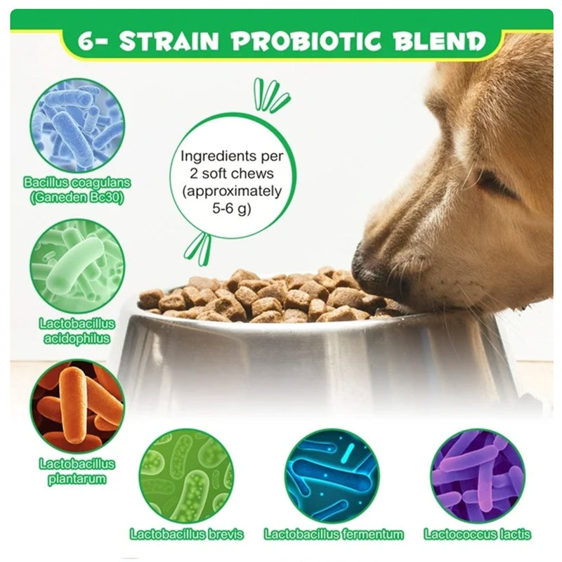 Probiotic Chews for Dogs – Healthy Gut & Digestive Support Supplement