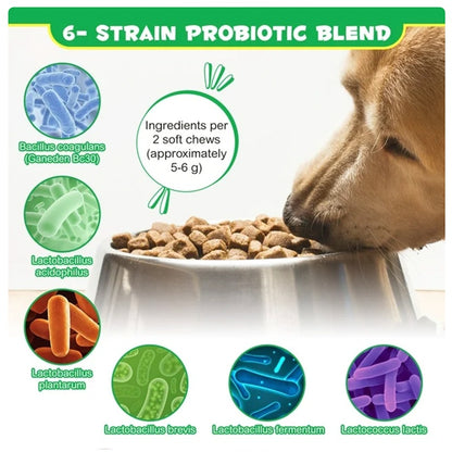 Probiotic Chews for Dogs – Healthy Gut & Digestive Support Supplement