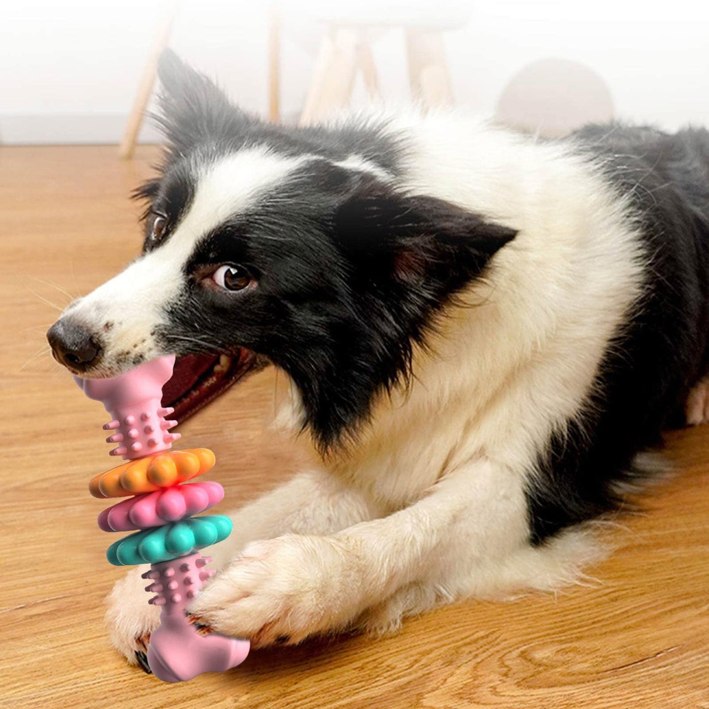 Indestructible TPR Dog Chew Bone – Teeth Cleaning Interactive Chew Toy
