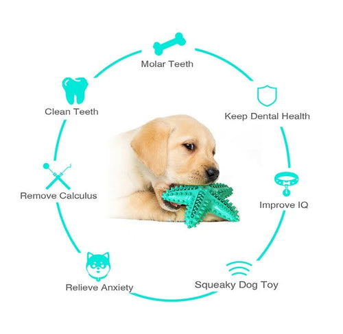 Fast Shipping 3-Pack Squeaky Dog Toys