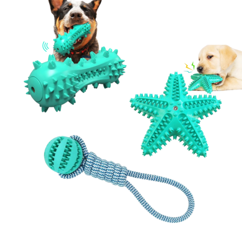 Fast Shipping 3-Pack Squeaky Dog Toys