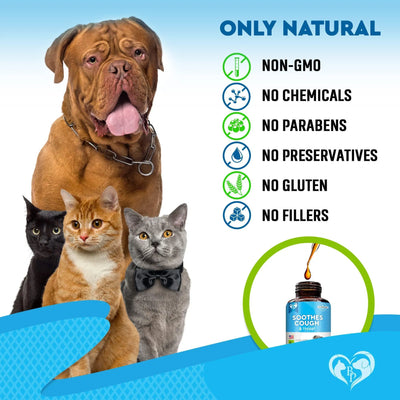 Natural Kennel Cough Treatment for Dogs & Cats