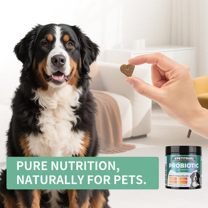 Dog Probiotic Chews 120Ct – Digestive Enzymes for Gut & Skin Health
