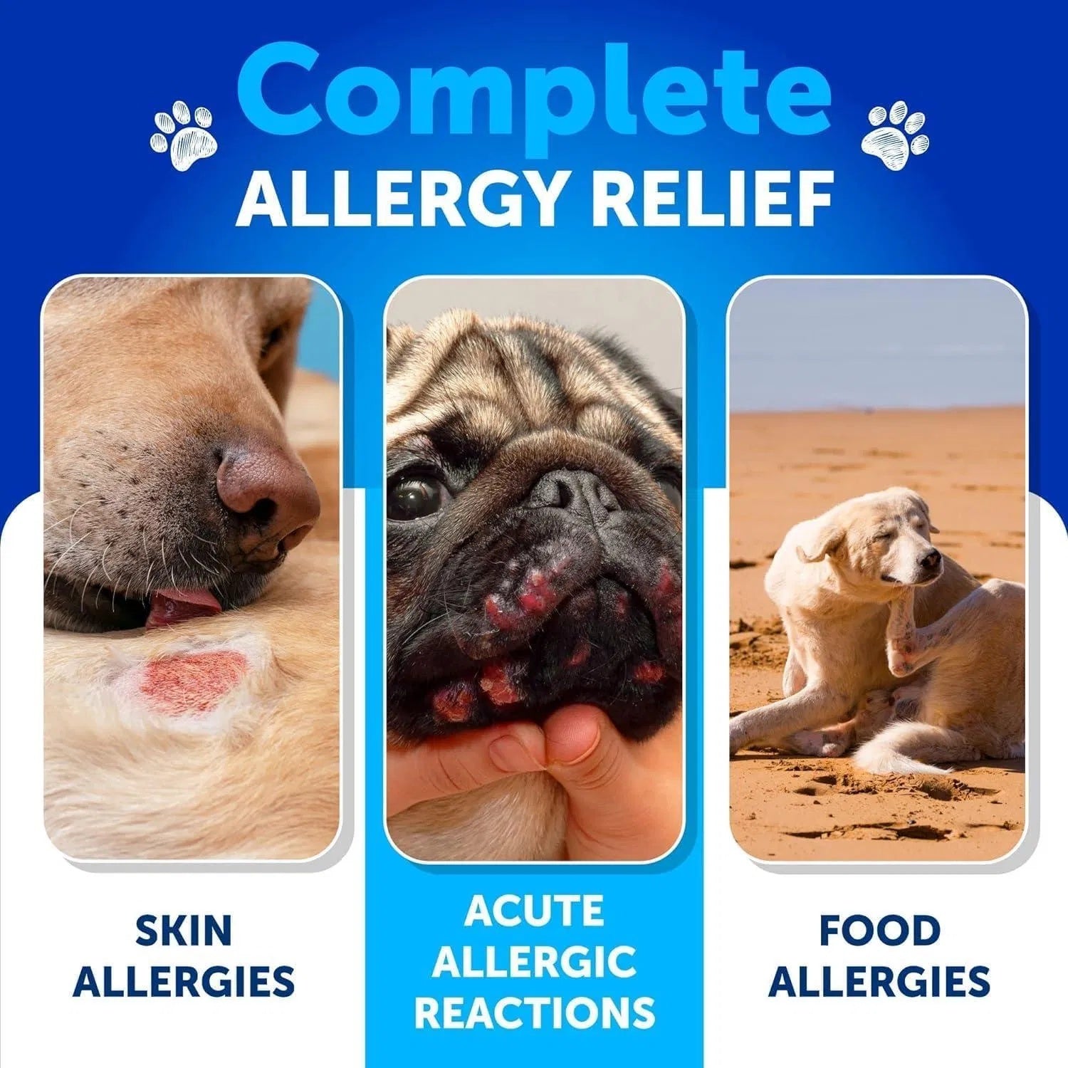 Dog Allergy Relief Chews – Itchy Skin & Hot Spot Treatment with Fish Oil | Immune Support Supplement | 120 Soft Treats