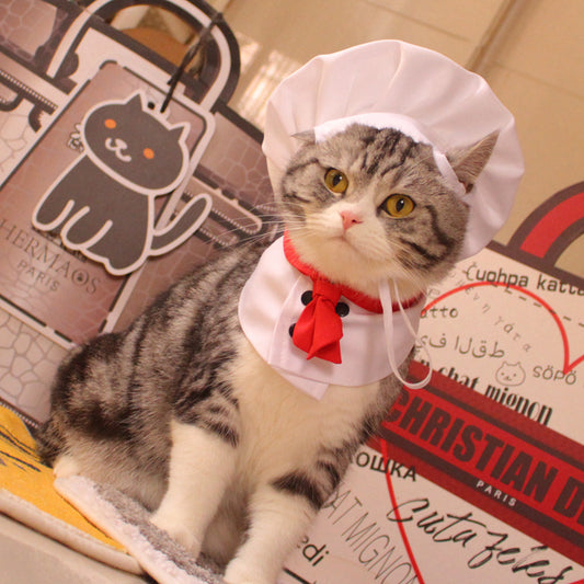 Cat Chef Costume Set – Pet Hat & Scarf Outfit