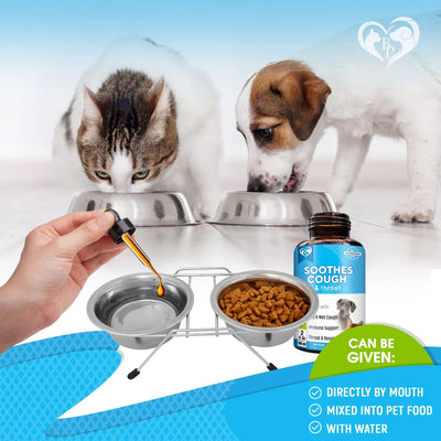Natural Kennel Cough Treatment for Dogs & Cats