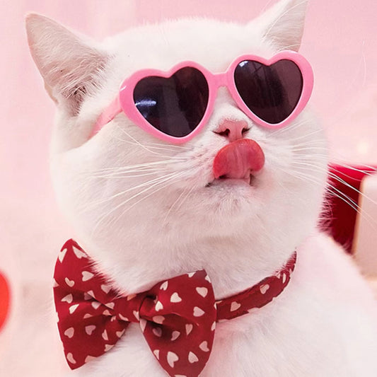Heart Shape Pet Sunglasses – Cute Cat & Dog Glasses