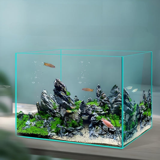 Super White Glass Aquarium Tank – Clear Desktop Fish Tank