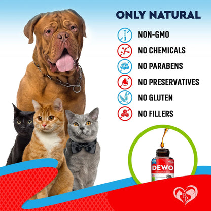 Natural Liquid Dewormer for Cats & Dogs – Broad Spectrum Worm Treatment for Kittens & Puppies